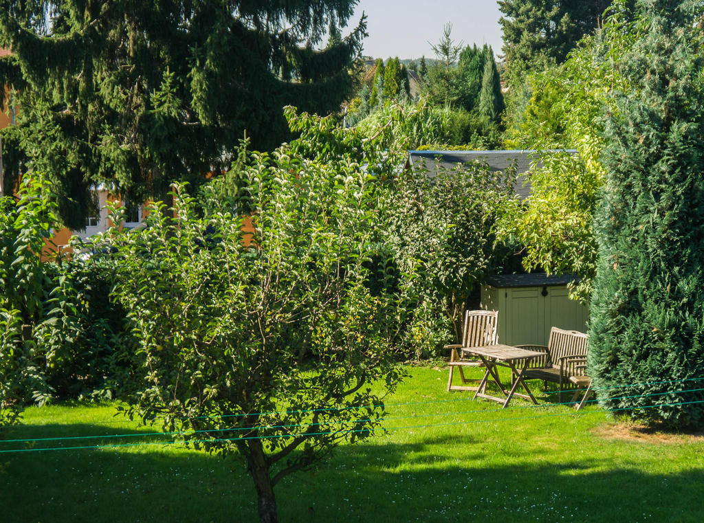 Ferienwohnung Am Elberadweg Drezno Zewnętrze zdjęcie