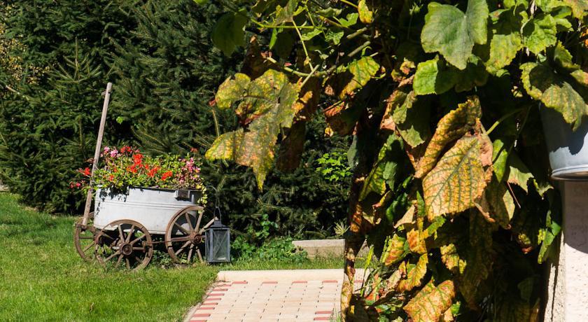 Ferienwohnung Am Elberadweg Drezno Zewnętrze zdjęcie
