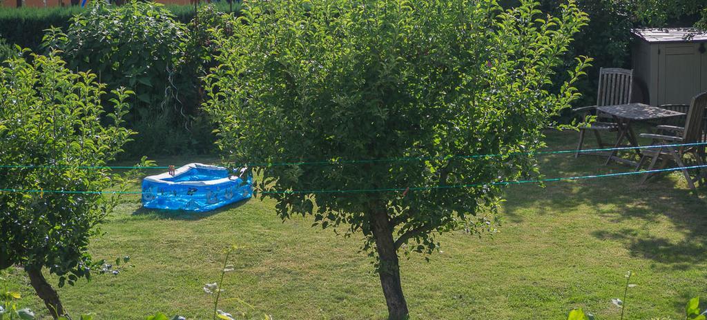 Ferienwohnung Am Elberadweg Drezno Pokój zdjęcie