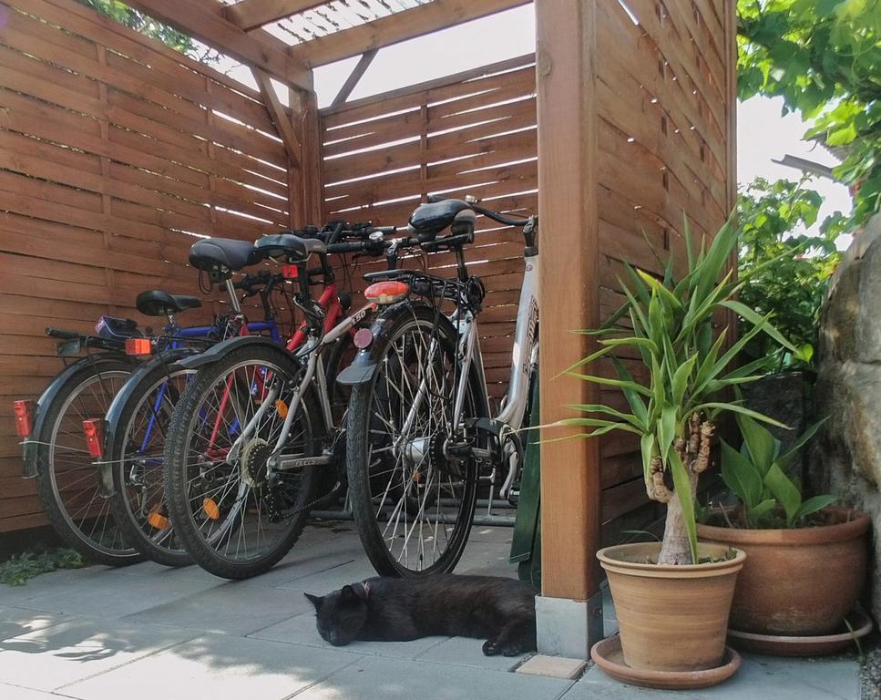 Ferienwohnung Am Elberadweg Drezno Zewnętrze zdjęcie