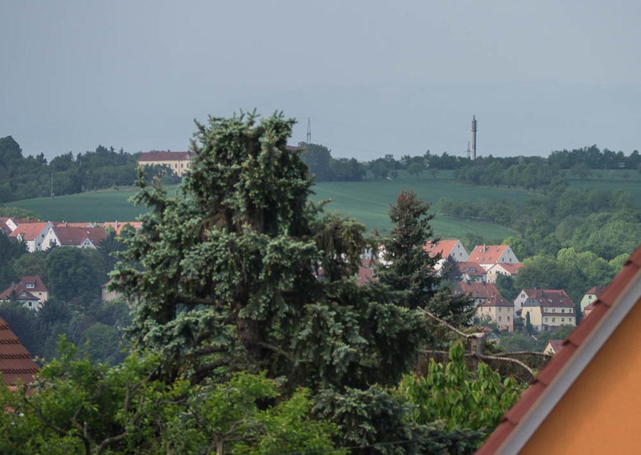 Ferienwohnung Am Elberadweg Drezno Pokój zdjęcie